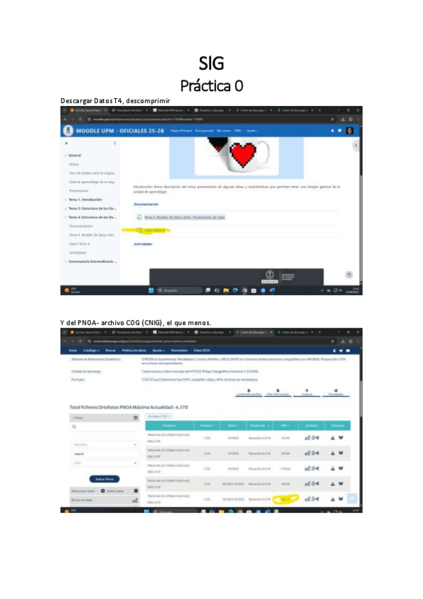 Miniatura del documento Pr0pasos.pdf