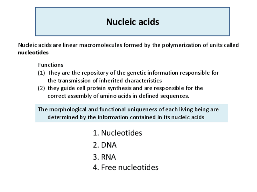 Miniatura del documento Tema-5-Acidos-nucleicos.pdf