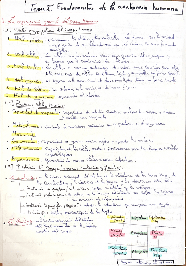 Miniatura del documento Resumen-Un1.FAD.pdf
