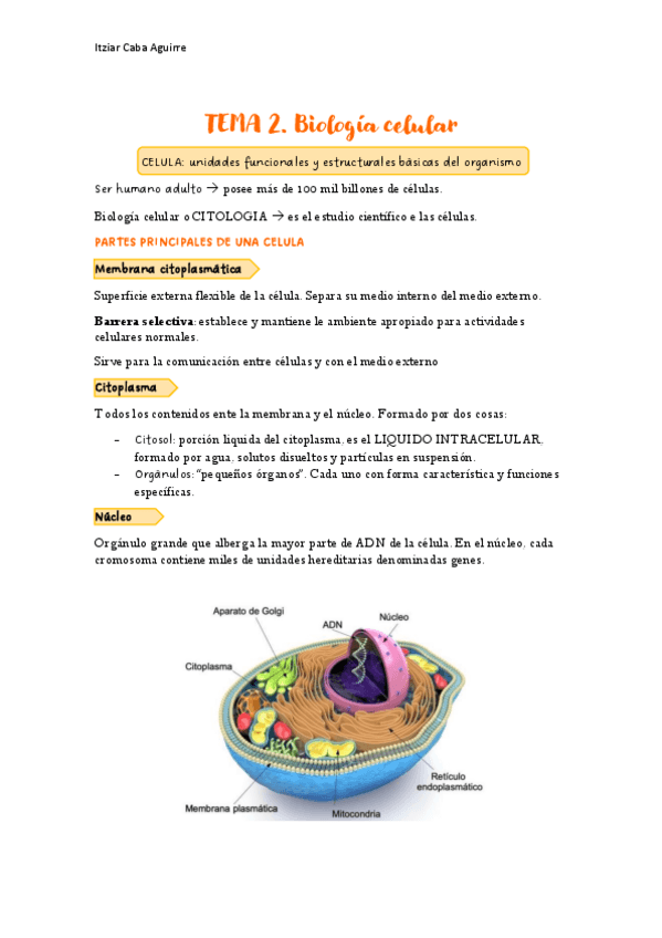 Miniatura del documento TEMA-2.-FUND.BIOQUIMICA.pdf