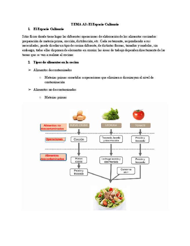 Miniatura del documento Tema-A3-Tecnologia-Culinaria.pdf