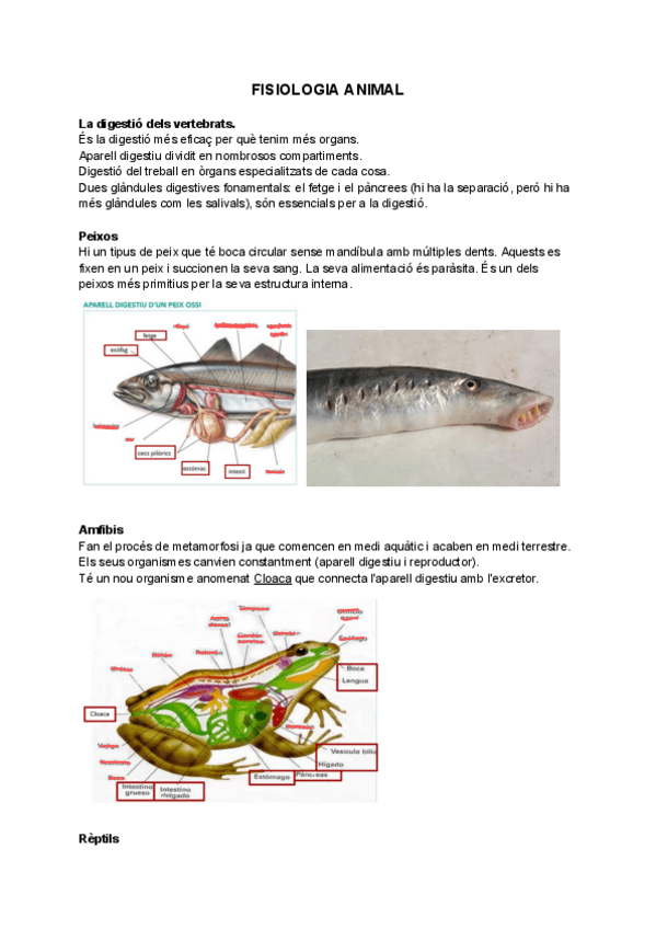 Miniatura del documento Fisiologia-animal.pdf