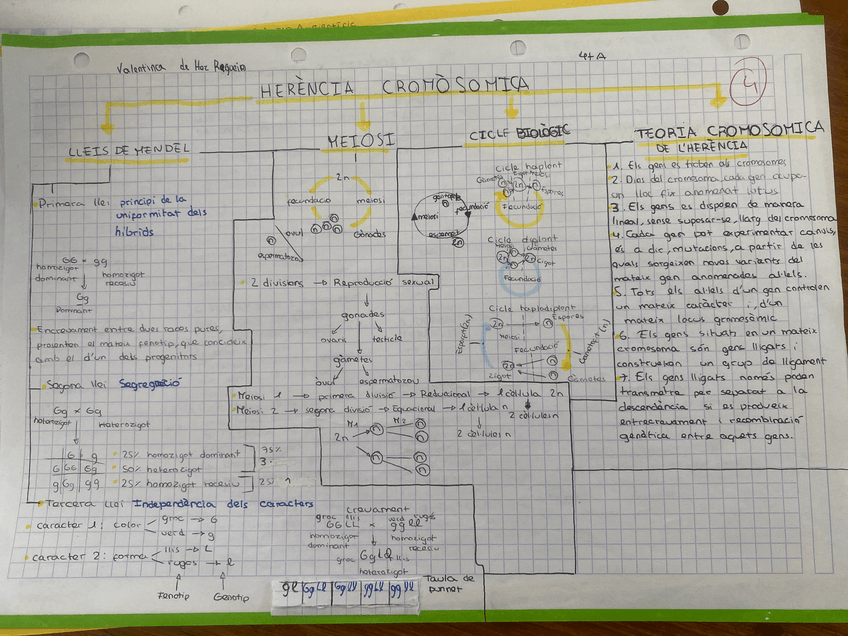 Miniatura del documento image.jpg