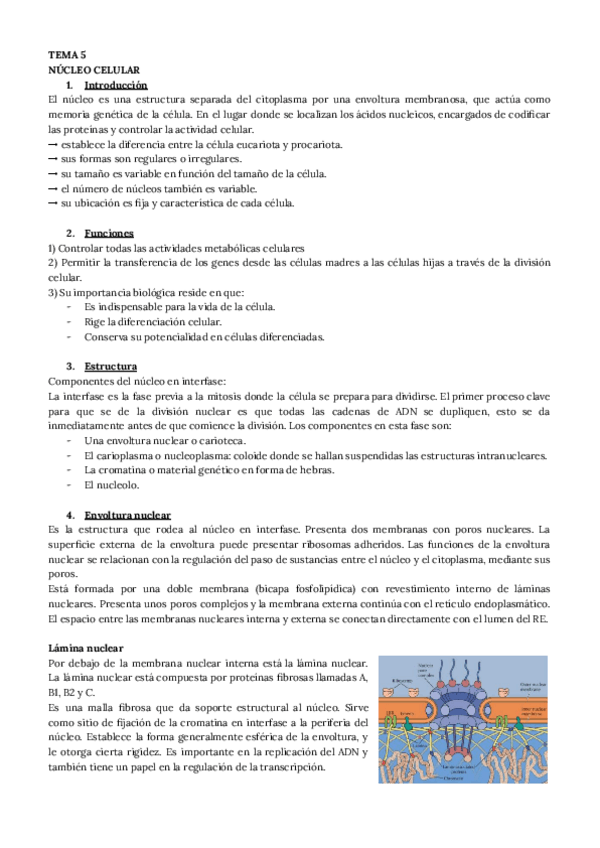 Miniatura del documento TEMA-5-BIOLOGIA.pdf