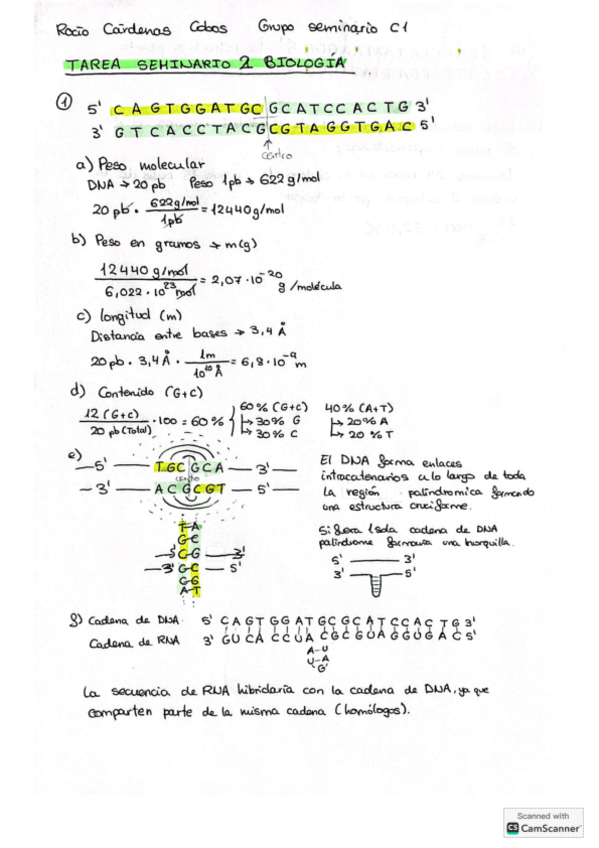 Miniatura del documento Tarea-Seminario-2-Biologia.pdf