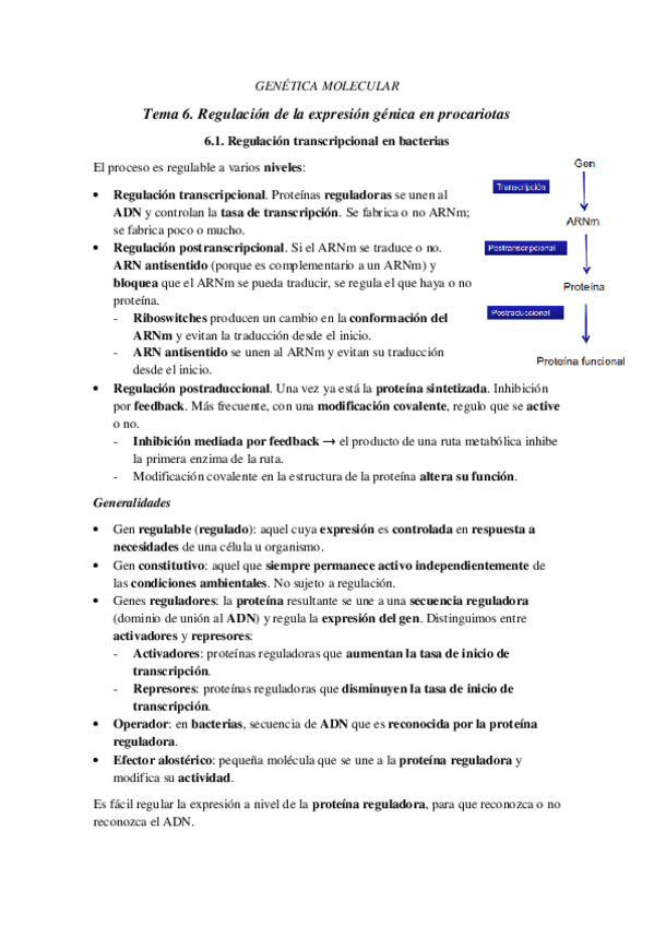 Miniatura del documento TEMA-6.pdf
