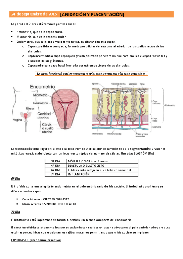 Miniatura del documento TEMA 3. ANIDACIÓN Y PLACENTACIÓN.pdf