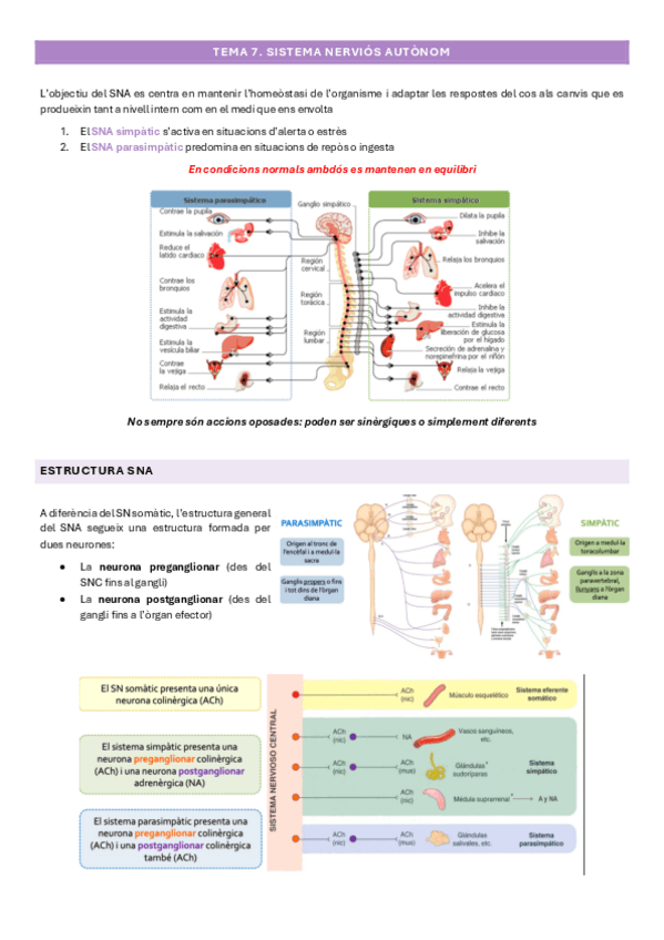 Miniatura del documento TEMA-7.pdf