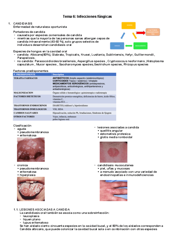 Miniatura del documento tema-6-ciru-2.pdf