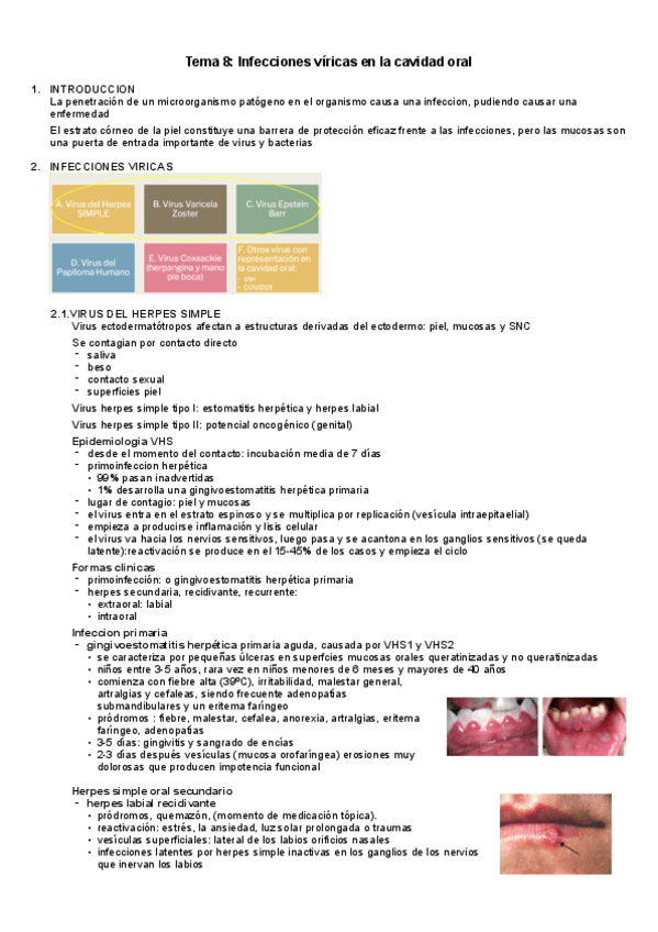 Miniatura del documento tema-8-ciru-2.pdf