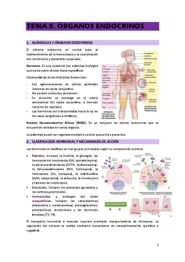 Miniatura del documento TEMA-5.pdf