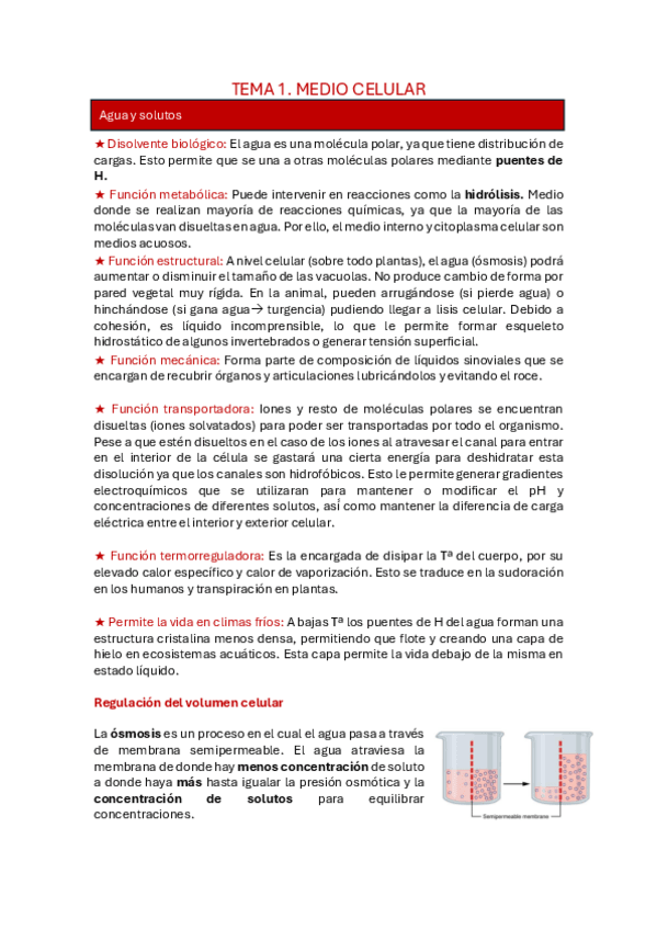 Miniatura del documento tema-1-bioquimica.pdf