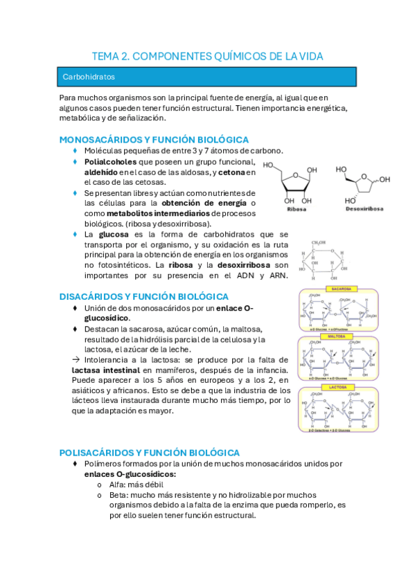 Miniatura del documento tema-2-bioquimica.pdf