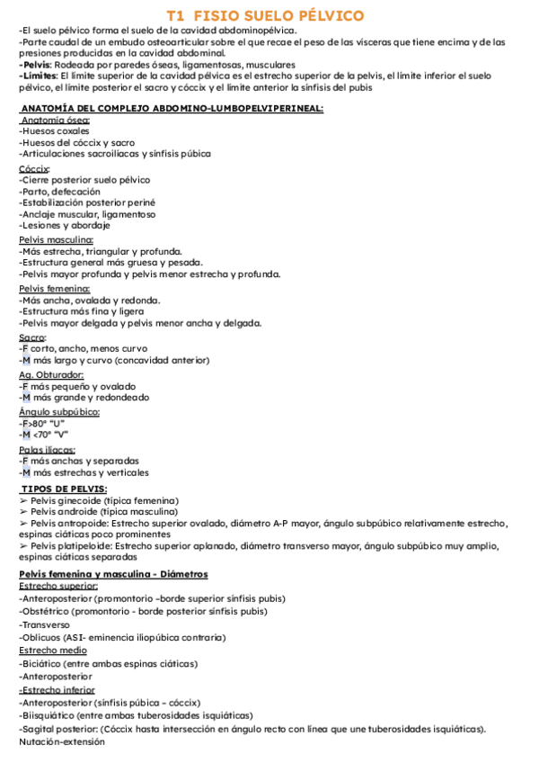 Miniatura del documento T1.pdf