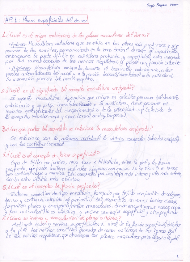 Miniatura del documento CUADERNO ANATOMÍA.pdf