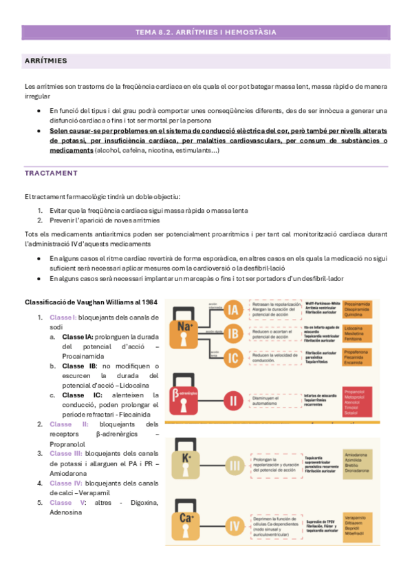 Miniatura del documento TEMA-8.2.pdf