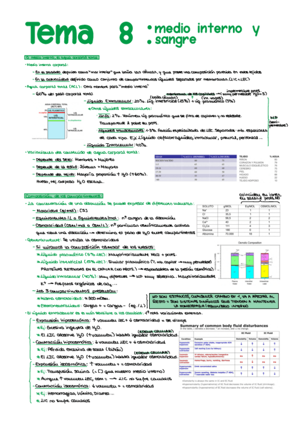 Miniatura del documento Apuntes-Sangre.pdf
