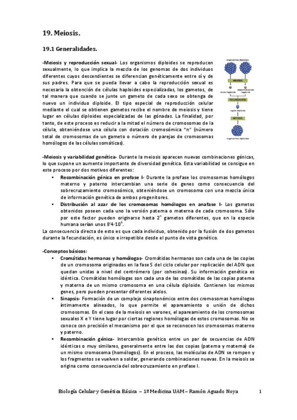 Miniatura del documento Genética Básica.pdf