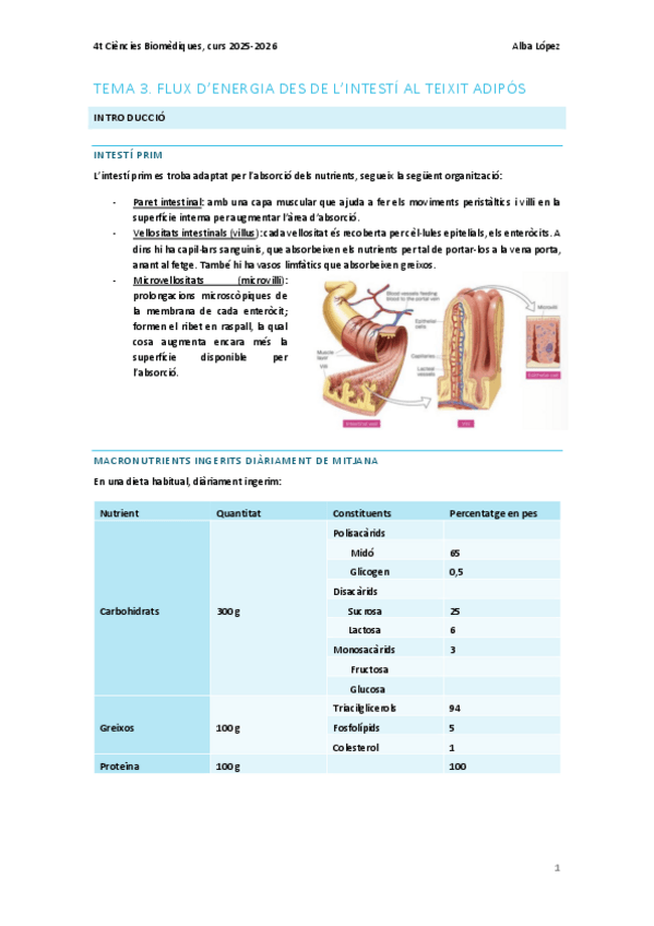 Miniatura del documento Tema-3.-Flux-denergia-des-de-lintesti-al-teixit-adipos.pdf