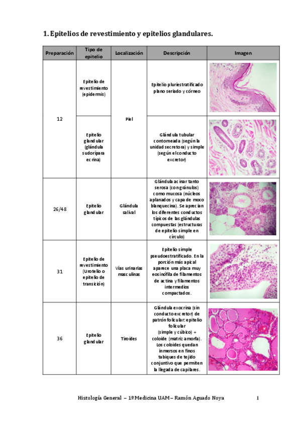 Miniatura del documento Práctica 1.pdf