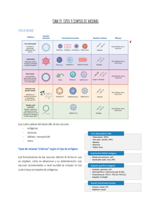 Miniatura del documento TEMA-19-TIPOS-Y-EJEMPLOS-DE-VACUNAS.pdf