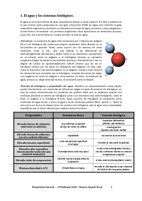 Miniatura del documento Bioquímica General.pdf