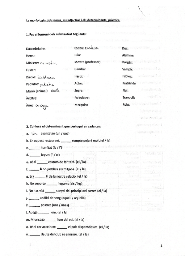 Miniatura del documento Exercicis-morfologia.pdf