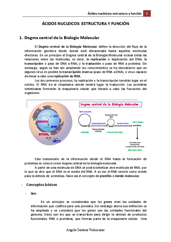 Miniatura del documento BBM.pdf