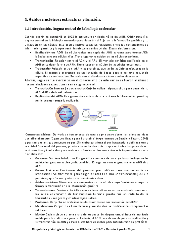 Miniatura del documento Bioquímica y biología molecular.pdf