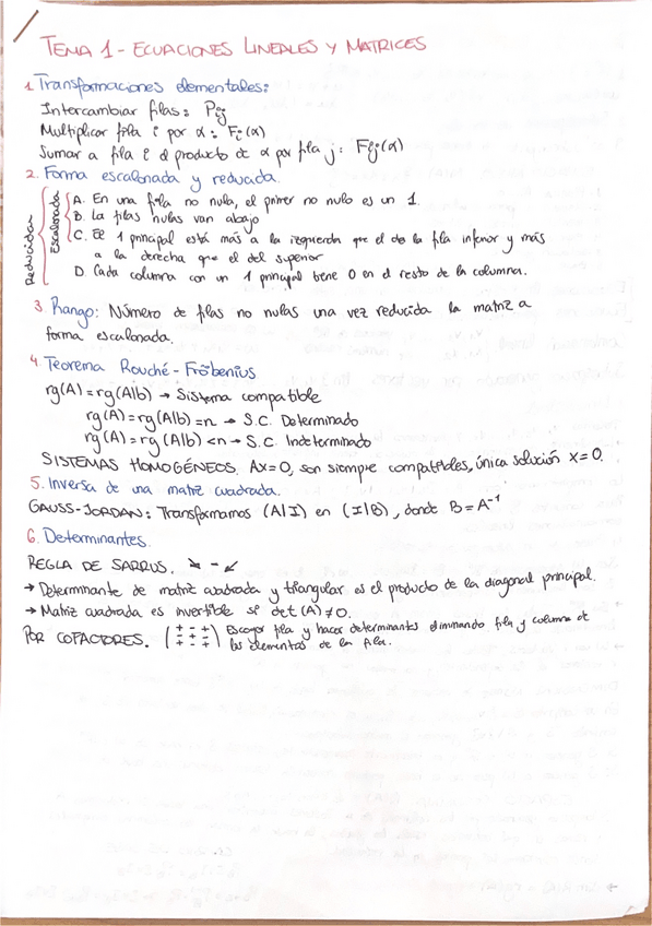 Miniatura del documento Resumen-Todos-los-Temas.pdf