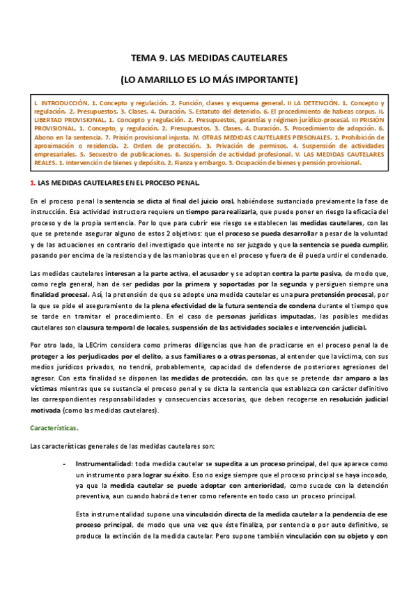 Miniatura del documento TEMA-9.-LAS-MEDIDAS-CAUTELARES.pdf