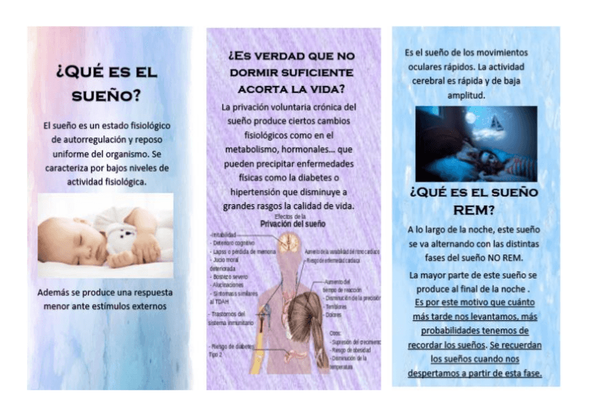 Miniatura del documento Tríptico completo.pdf