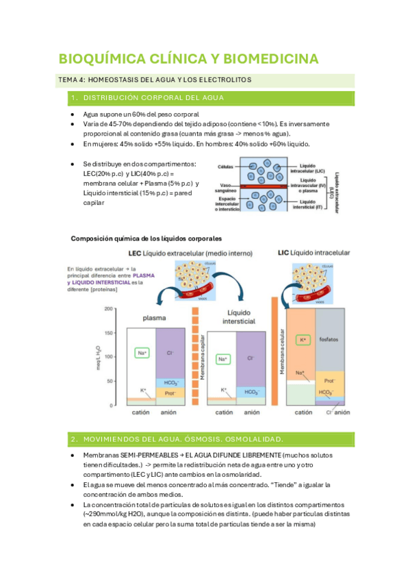 Miniatura del documento BIOQUIMICA-TEMA-4.pdf