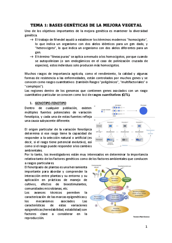 Miniatura del documento TEMA-1 VEGETAL.pdf