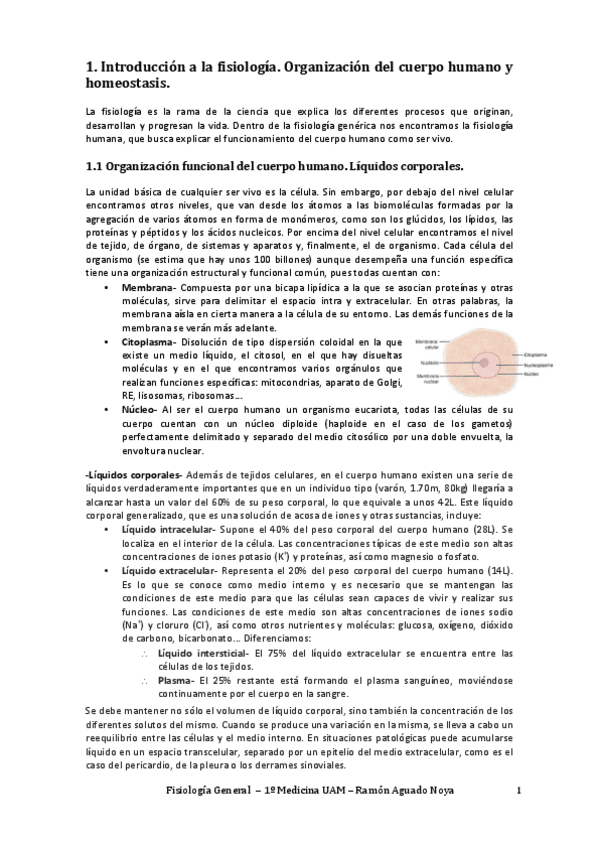 Miniatura del documento Fisiología.pdf