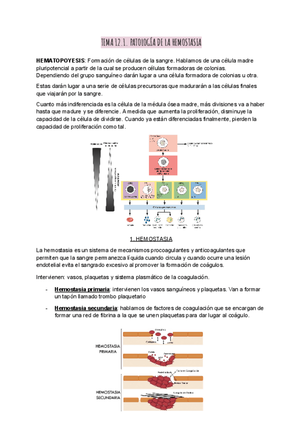 Miniatura del documento Patologia-medica-tema-12.1-al-12.3.pdf