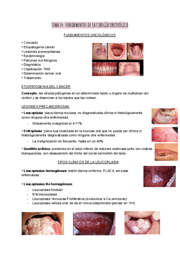 Miniatura del documento Patoquiru-temas-14-23.pdf