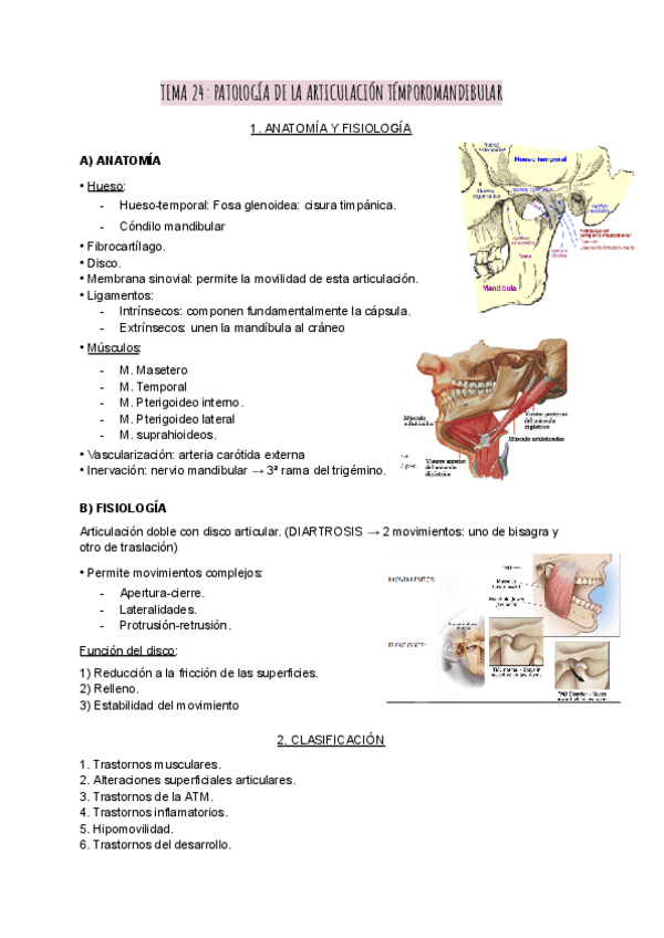 Miniatura del documento Patoquiru-24-28.pdf