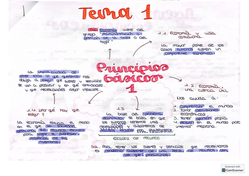 Miniatura del documento PRINCIPIOS-BASICOS-DE-LA-ECONOMIA.pdf