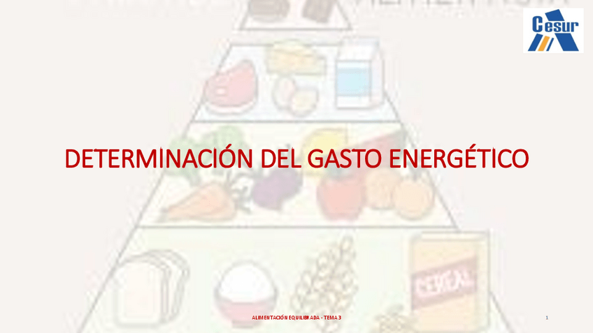 Miniatura del documento Tema 3 Gasto Energético.pdf