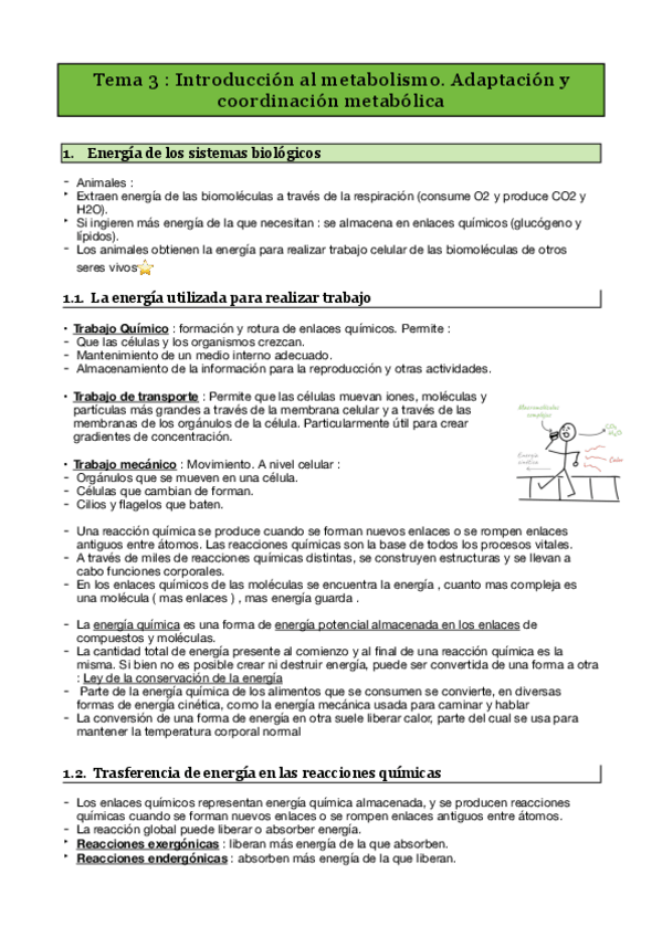 Miniatura del documento T3-Fundamentos-biologicos.pdf