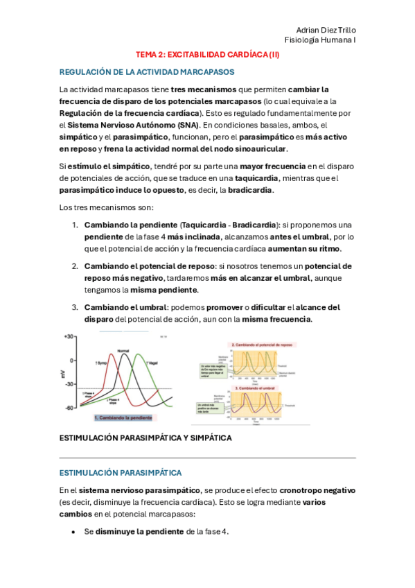 Miniatura del documento TEMA-2-EXCITABILIDAD-ii.pdf