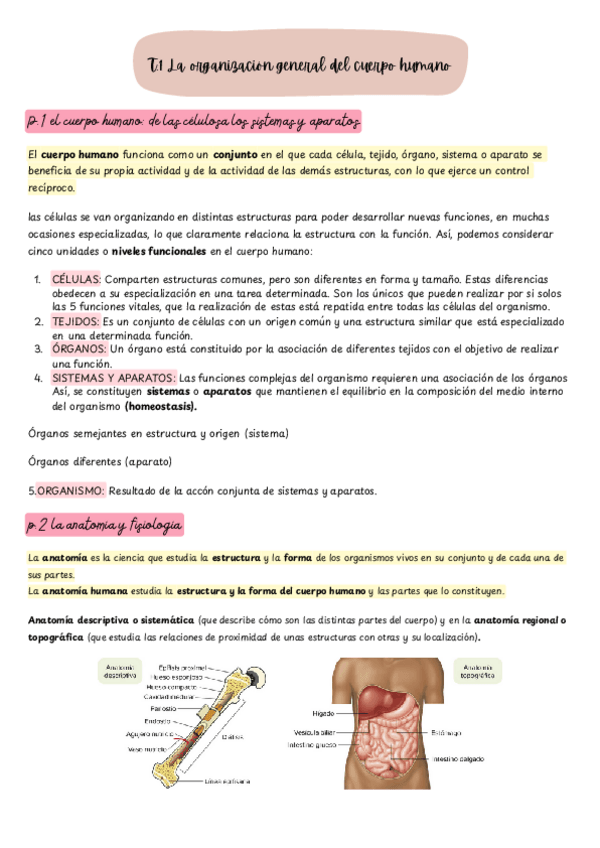 Miniatura del documento T.1-Anatomofisiologia.pdf