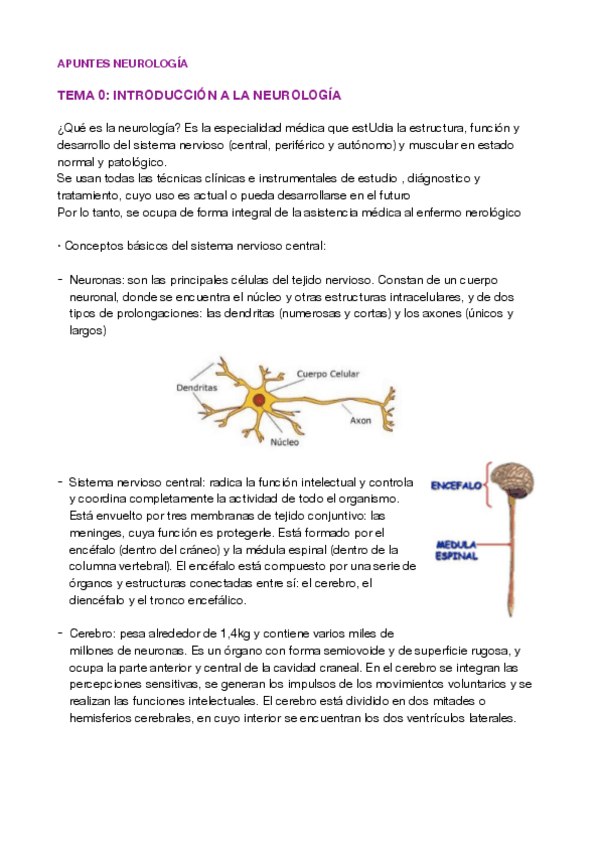 Miniatura del documento Neurologia-primer-cuatri.pdf