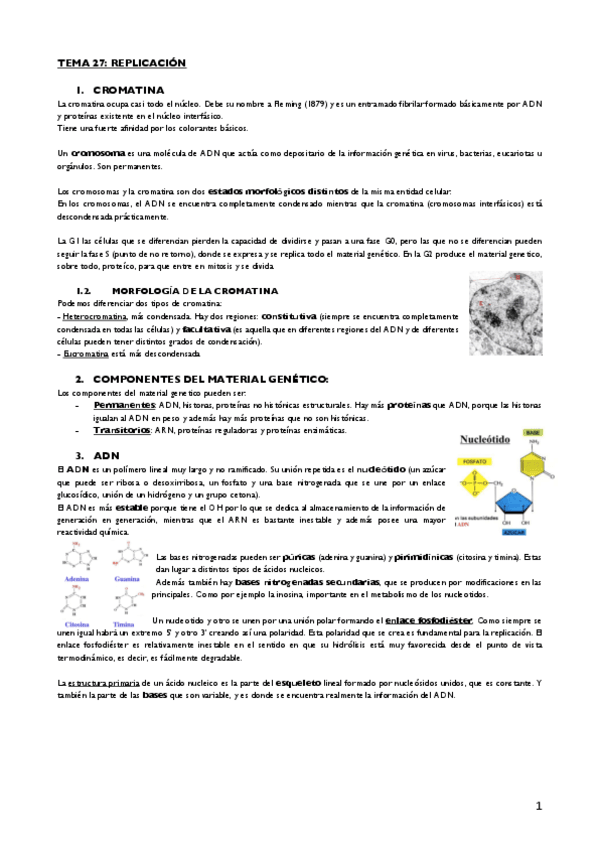 Miniatura del documento Tema 27.pdf