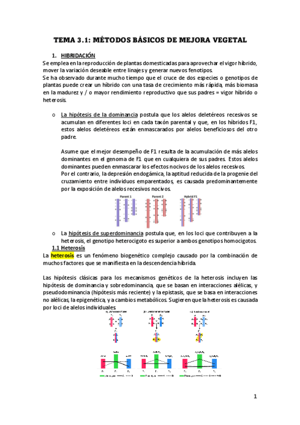 Miniatura del documento Tema-3.1-VEGETAL.pdf