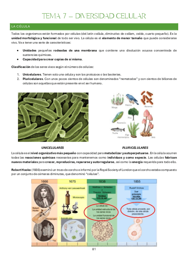 Miniatura del documento Tema-7-Bases-Organicas-e-Inorganicas-de-la-Vida.pdf