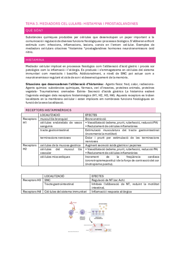 Miniatura del documento TEMA-3.-FARMACOLOGIA.pdf