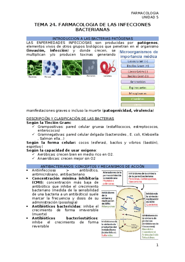 Miniatura del documento TEMA-24.-INFECCIONES-BACTERIANAS.docx