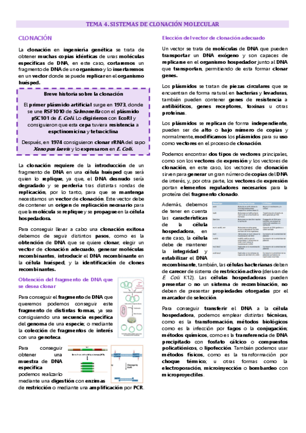 Miniatura del documento Tema 4 Ingeniería genética, Sistemas de clonación molecular.pdf